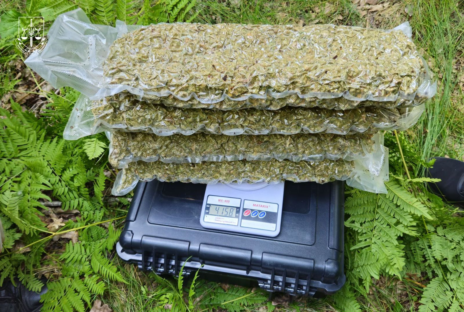 Law enforcement officers eliminated the criminal group "Krasnobalah"