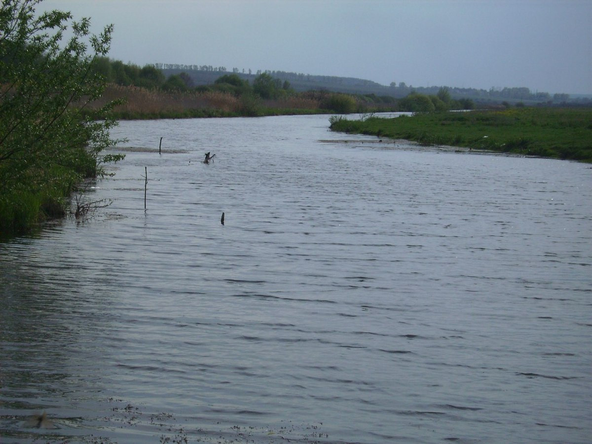 Прокуратура захистила землі гідрологічного заказника «Вовчанський» на Хмельниччині