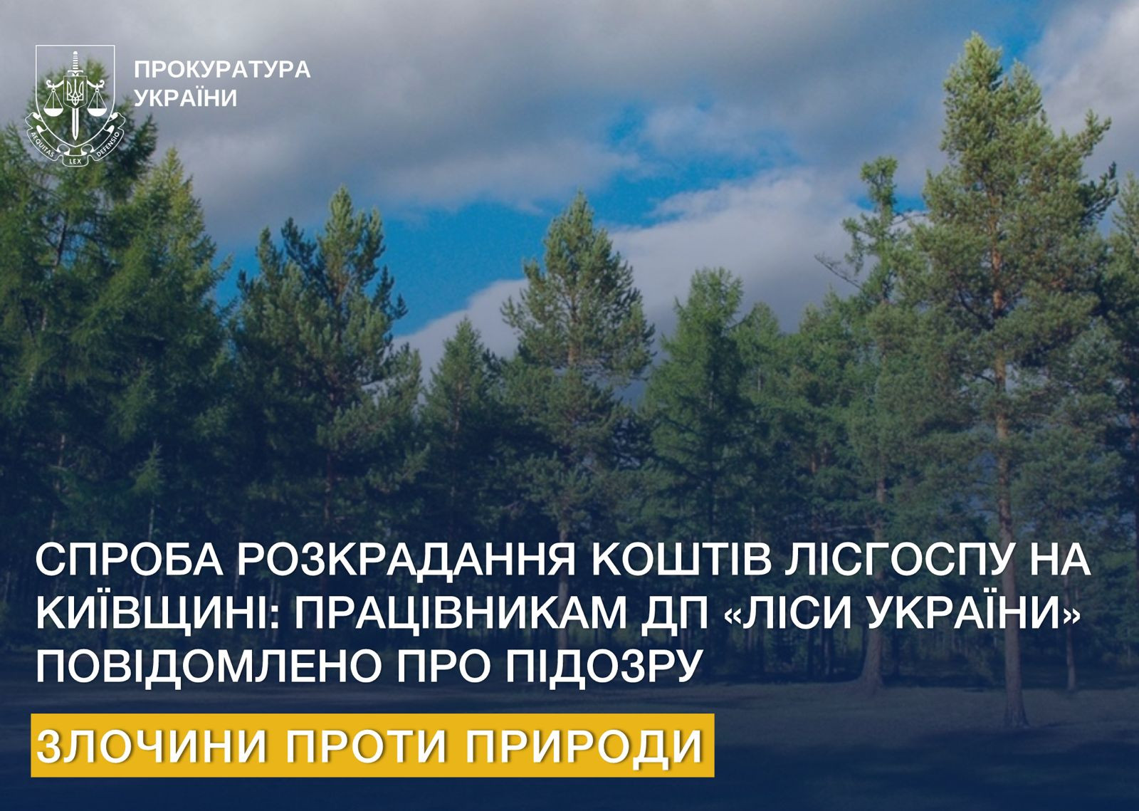 Спроба розкрадання коштів лісгоспу на Київщині: працівникам ДП «Ліси України» повідомлено про підозру