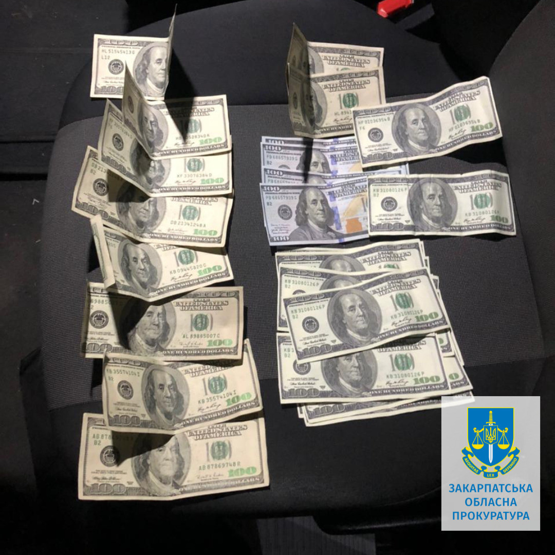 Переправлення військовозобов’язаних під виглядом перевізників гуманітарних вантажів – на Закарпатті судитимуть адвокатку та її спільника