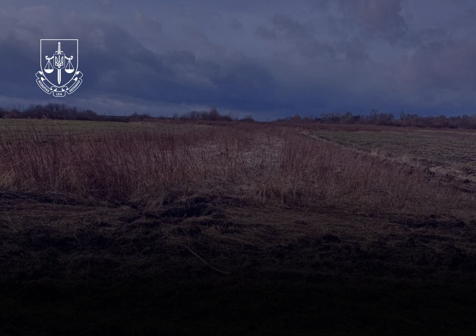 Returned to the state: more than 400 hectares of land in the border strip for UAH 1 billion