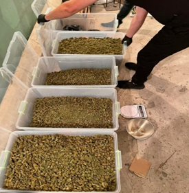 Виготовлення та збут наркотичних засобів – викрито злочинне угруповання