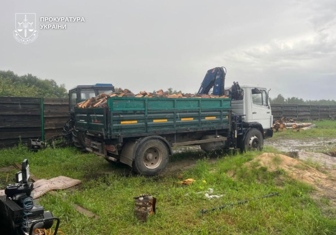 Незаконні порубки: на Кіровоградщині та Київщині завдано багатомільйонних збитків довкіллю