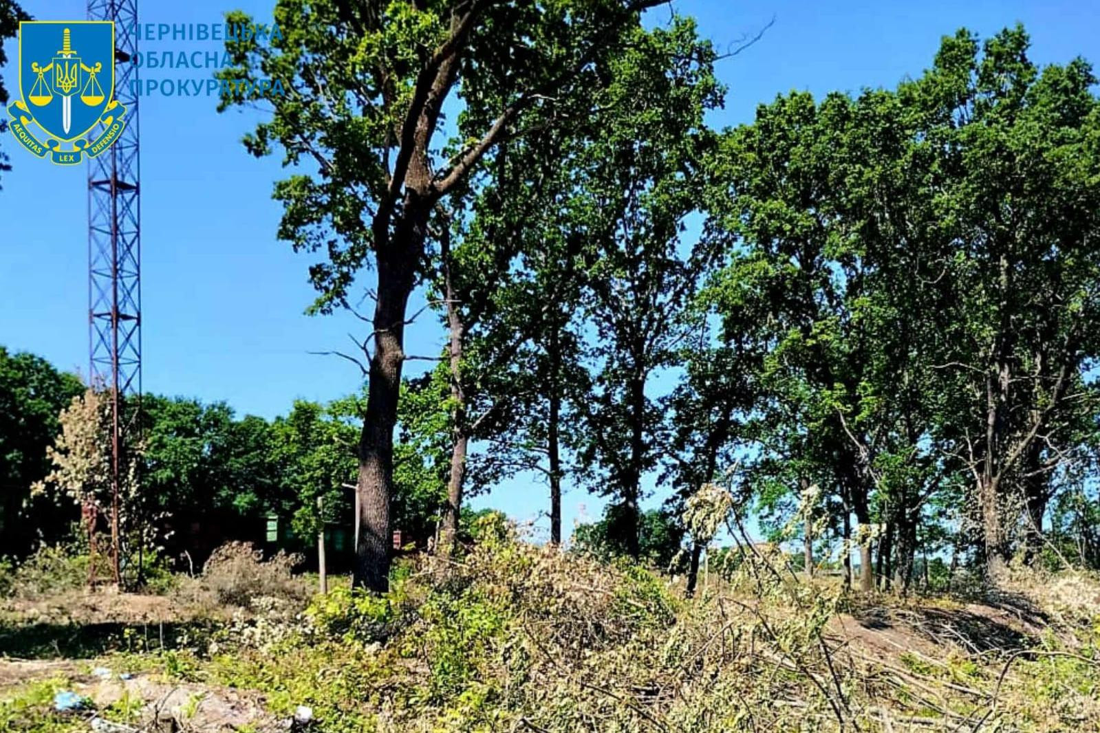 Понад 1 млн грн збитків через зловживання службовим становищем – на Буковині судитимуть начальника залізничної станції