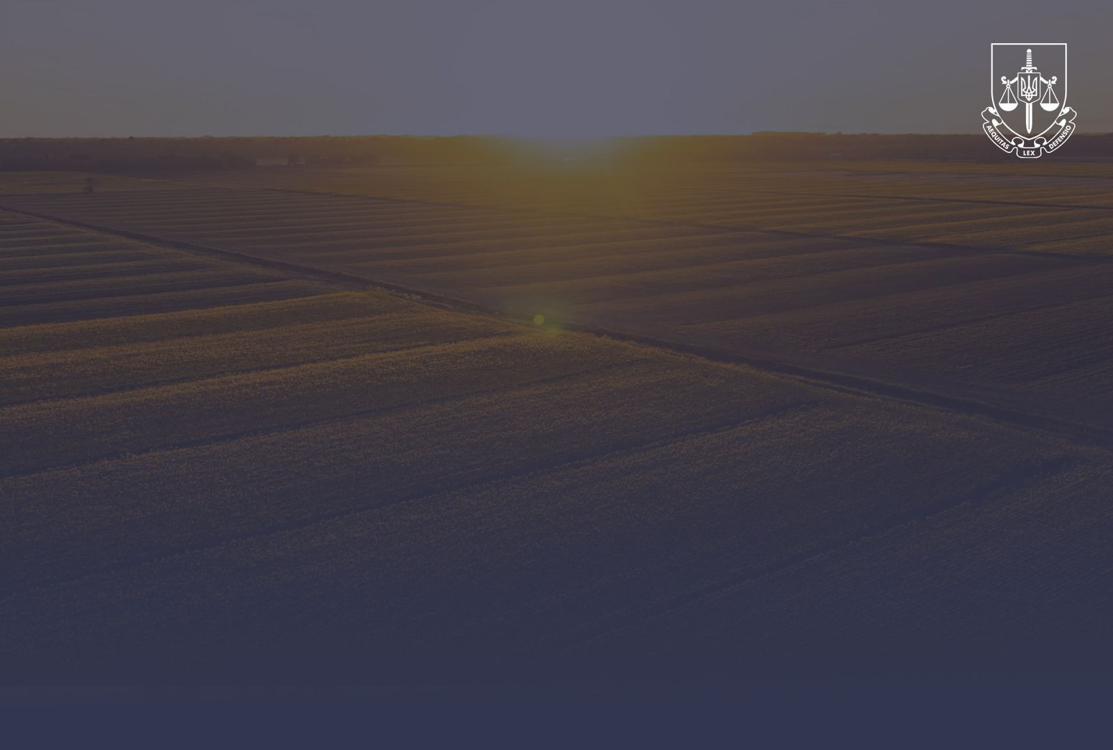 Самовільне зайняття понад 1000 гектарів земель оборони – на Миколаївщині викрито підприємця