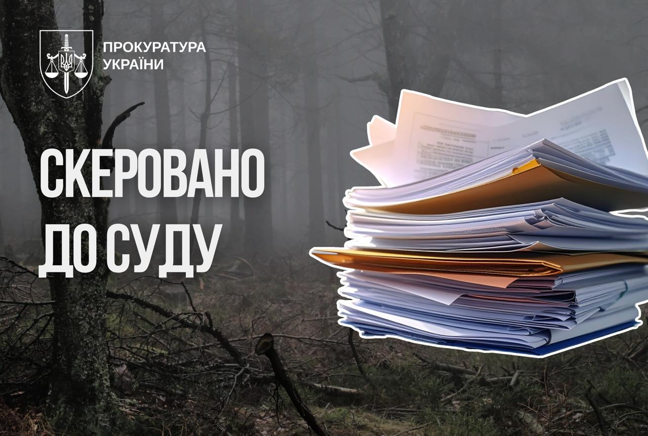 The head of forestry of the State Enterprise "Forests of Ukraine" will be tried for demanding monthly "kickbacks"