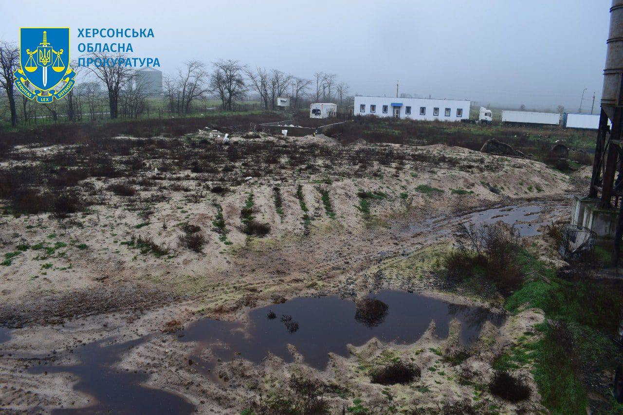 Масовий мор птахів на Херсонщині – прокуратура зафіксувала чергові наслідки збройної агресії РФ