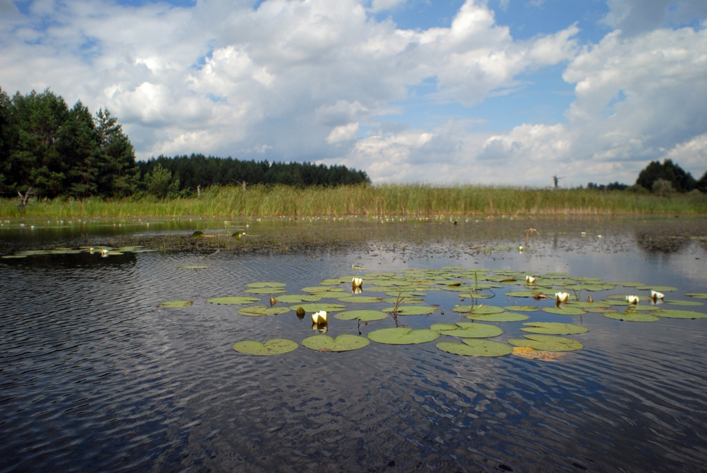Прокуратура повертає державі заповідні та цінні землі. Хмельниччина