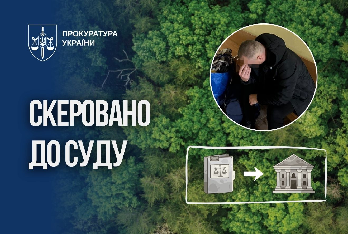 $25,000 for hunting grounds the size of a city: the inspector of the interregional management of the forest farm will answer in court