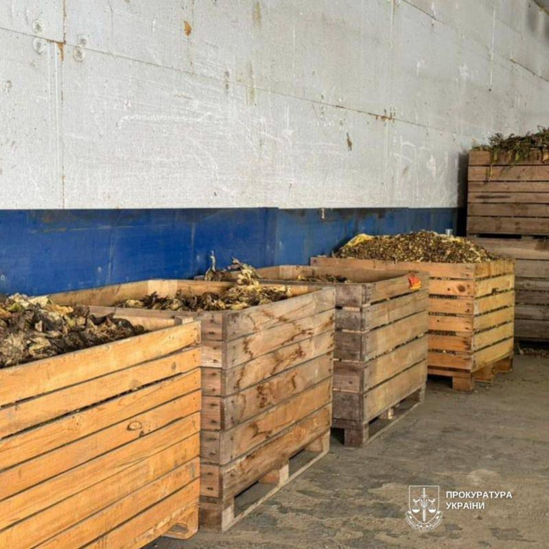 In Bukovina, the underground production of tobacco, which was sold throughout the country, was exposed and stopped