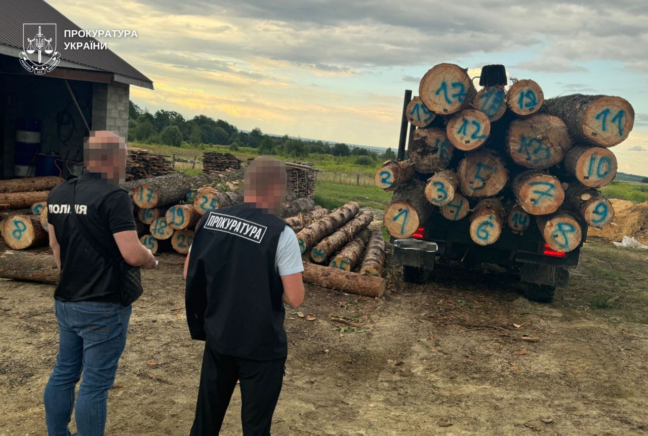 In the Lviv region, a scheme of illegal logging worth 9 million hryvnias was exposed