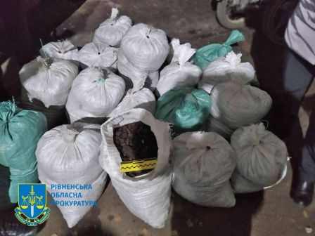 На Рівненщині судитимуть чоловіка, який перевозив майже 350 кг бурштину між мішками з овочами