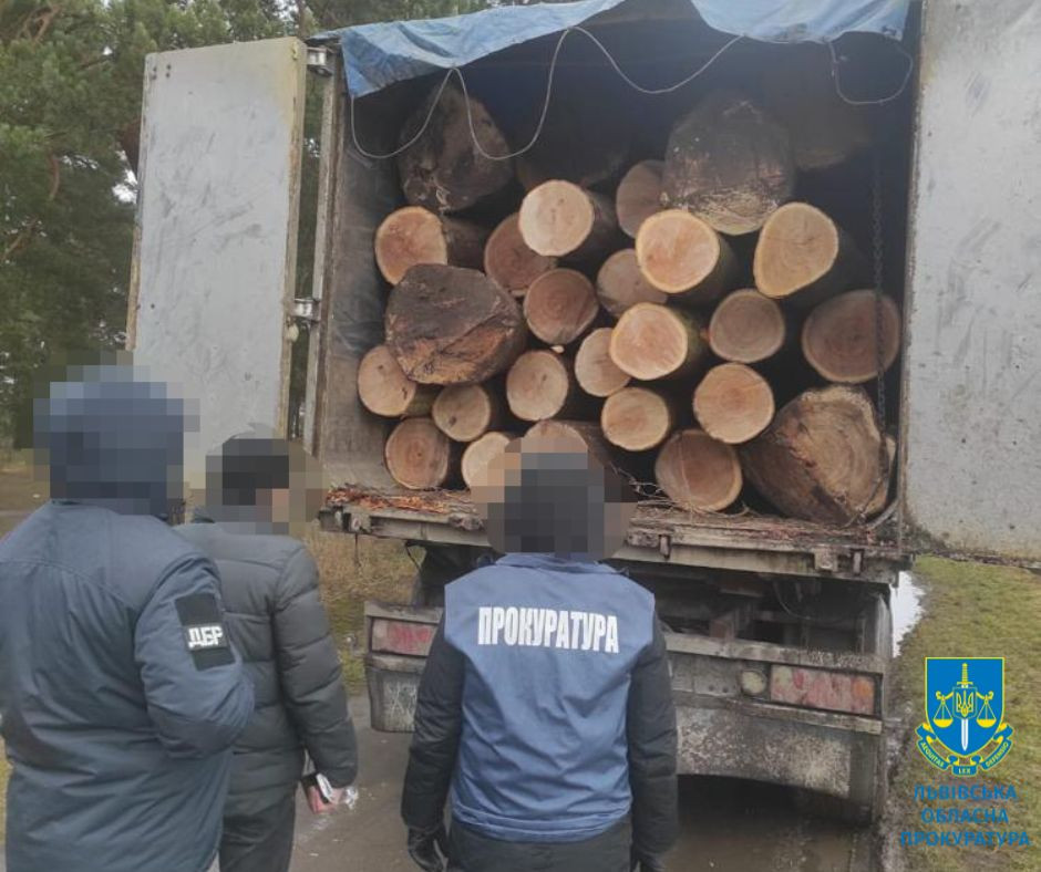 Незаконна порубка лісу на майже 4 млн грн – викрито організовану групу