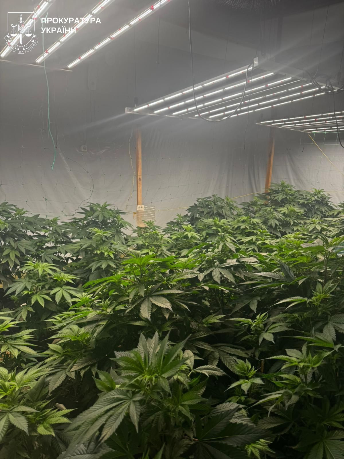 A drug laboratory was exposed in Kyiv region. Five persons were notified of the suspicion