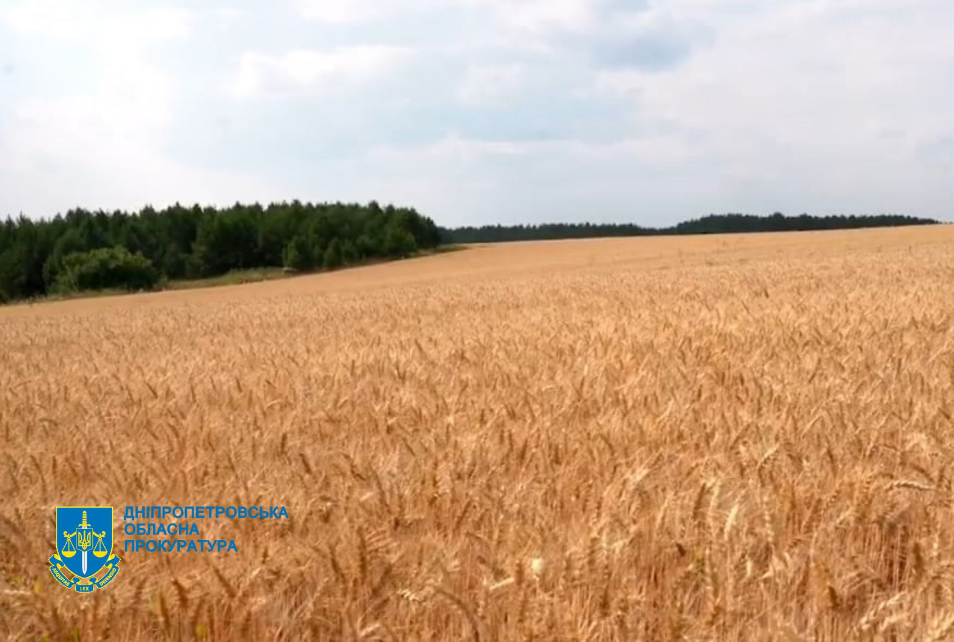 Прокурори на захисті державних інтересів: На Дніпропетровщині громадам повернуто понад 18 тис га сільгоспземель