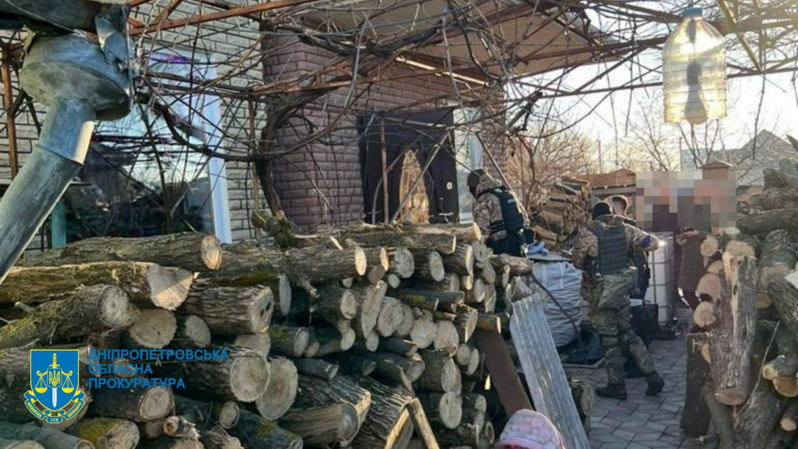 Незаконна порубка лісу на 2 млн грн – на Дніпропетровщині п’ятьом учасникам організованої групи повідомлено про підозру