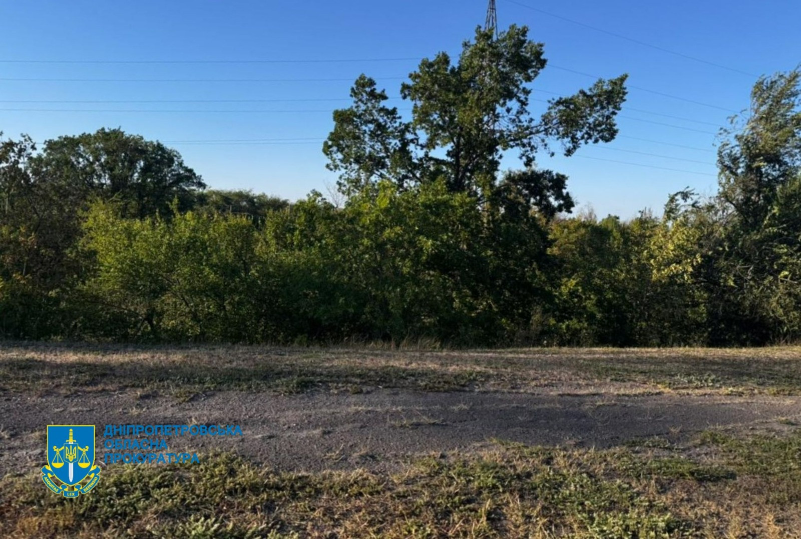 За втручання прокуратури Кривого Рогу державі повернуто землі лісового фонду площею майже 72 га