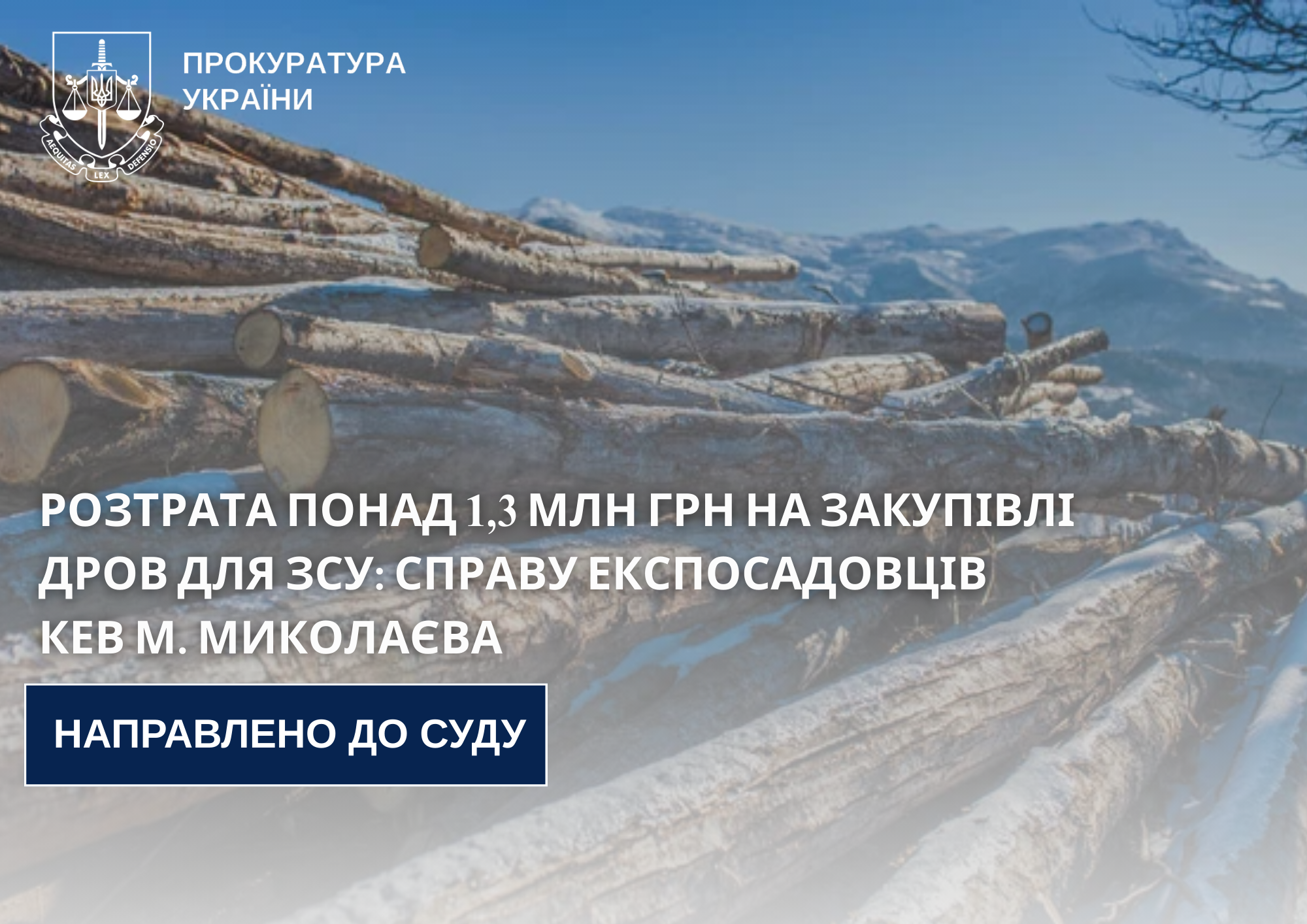Розтрата понад 1,3 млн грн на закупівлі дров для ЗСУ: справу експосадовців КЕВ м. Миколаєва направлено до суду