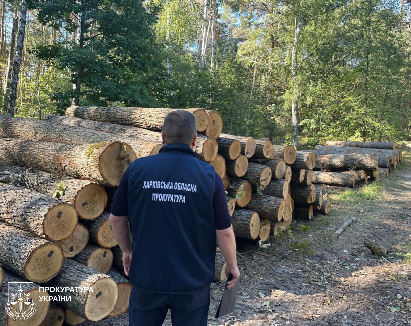 Афера на мільйони: прокуратура та ДБР повідомили про підозру вже експосадовцю держлісгоспу