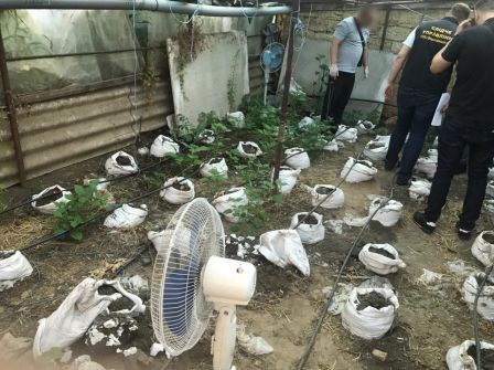 Незаконний збут наркотиків та спроба підкупу поліцейського - на Дніпропетровщині викрито групу осіб (ФОТО)