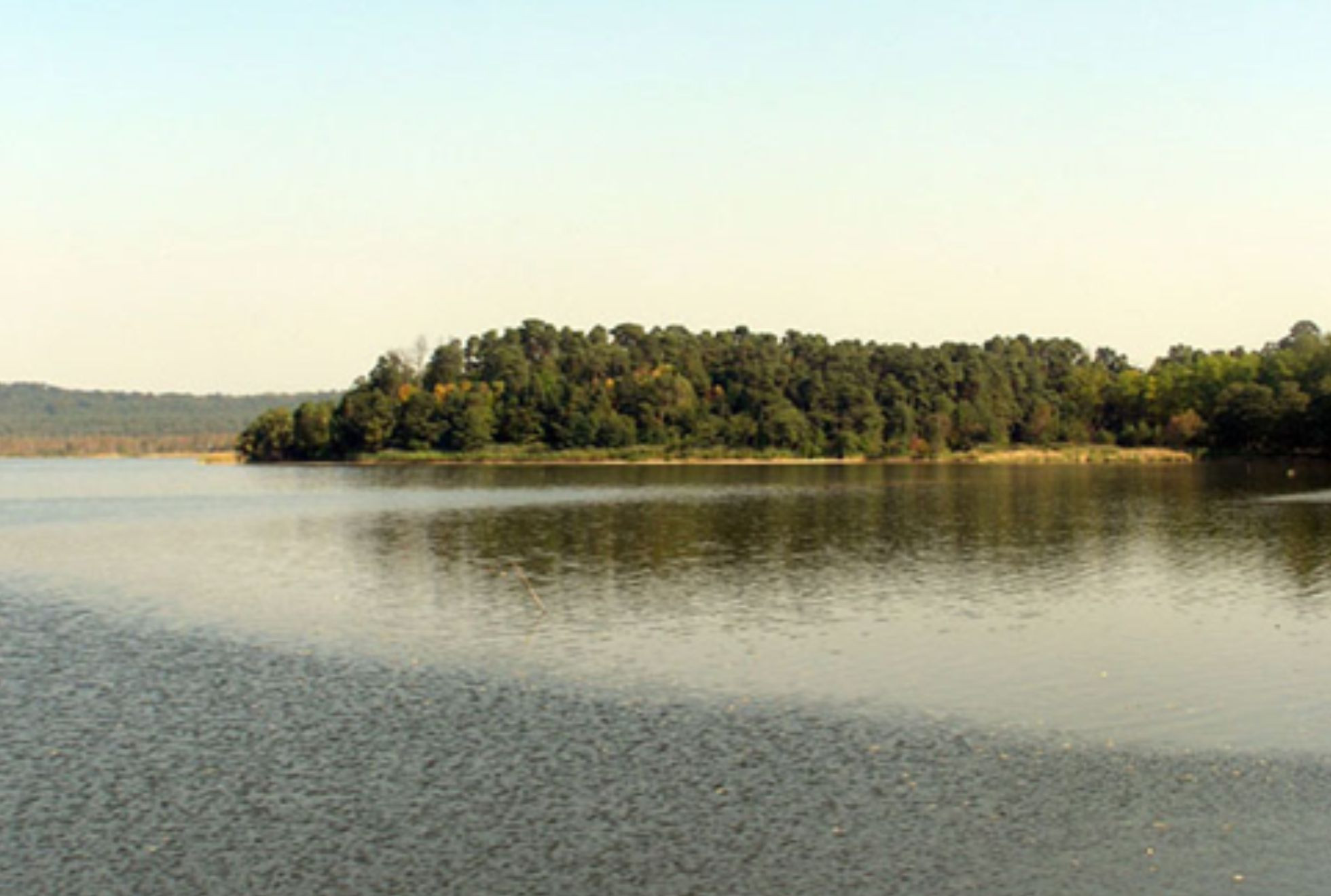 The prosecutor's office returns to the state protected and valuable lands. Cherkasy region