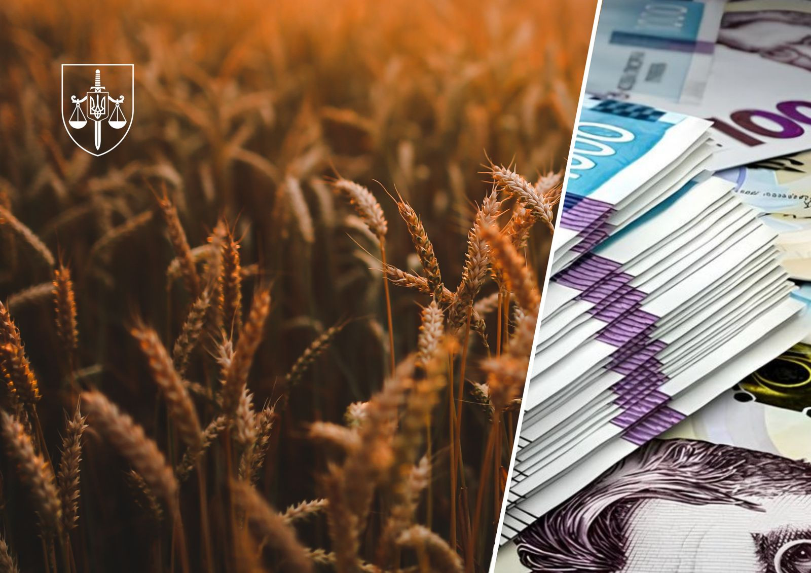 Three members of an organized group were detained, who avoided paying more than UAH 114 million in taxes due to shadow operations with grain