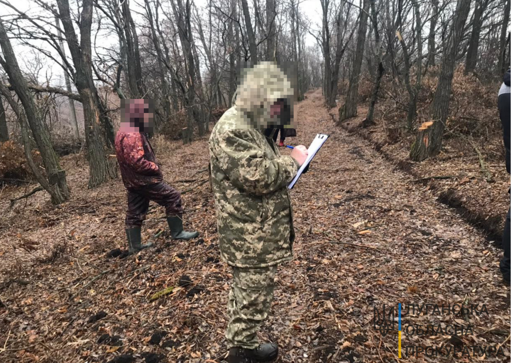Незаконна порубка лісу з мільйонним збитком у період масштабних пожеж на Луганщині – викрито організовану злочинну групу (ФОТО)