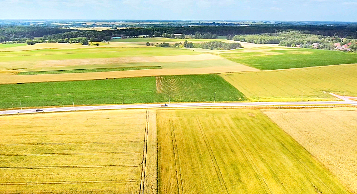На Херсонщині прокурори відновили права громади на понад 300 га земель — їх привласнили через шахрайську схему